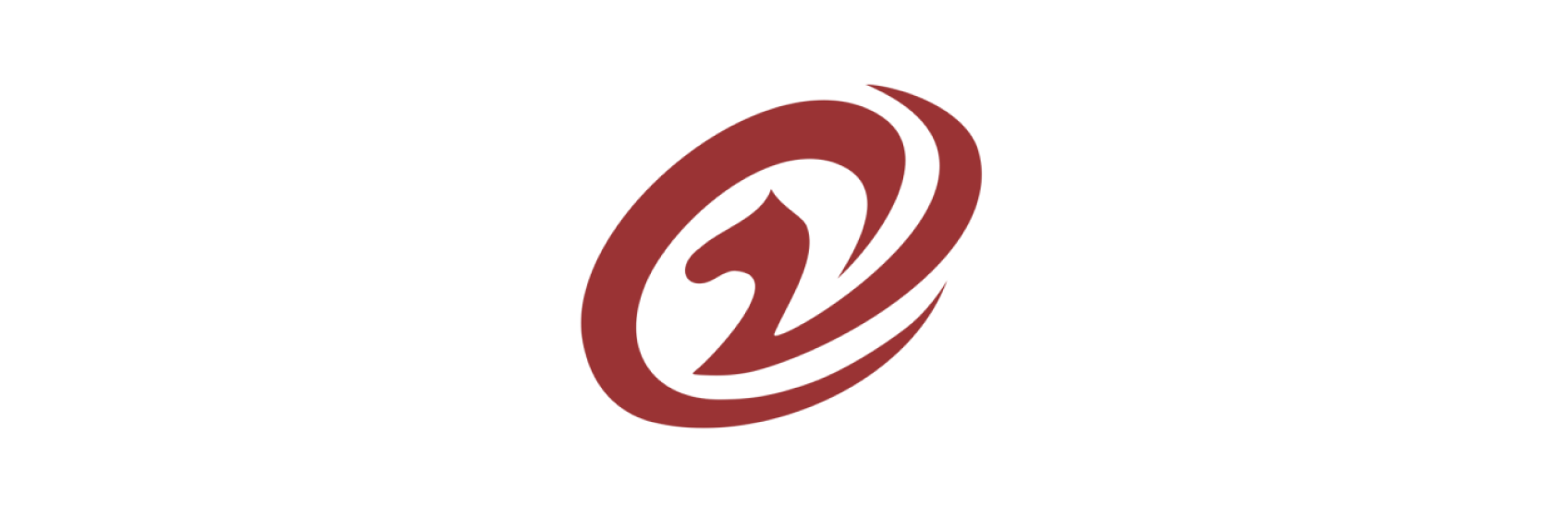 浙江策马软件科技有限公司.png